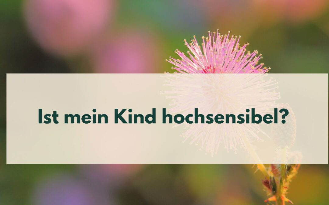 Ist mein Kind hochsensibel? Was du wissen musst, bevor du weitersuchst