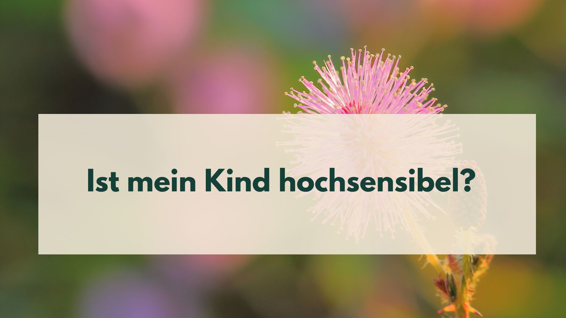 Foto einer Blume und Titel: ist mein Kind hochsensibel?